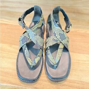 NWOT/BOX Vince Green Leather Flat Thong Strap Snake Print Sandal 7us Summer